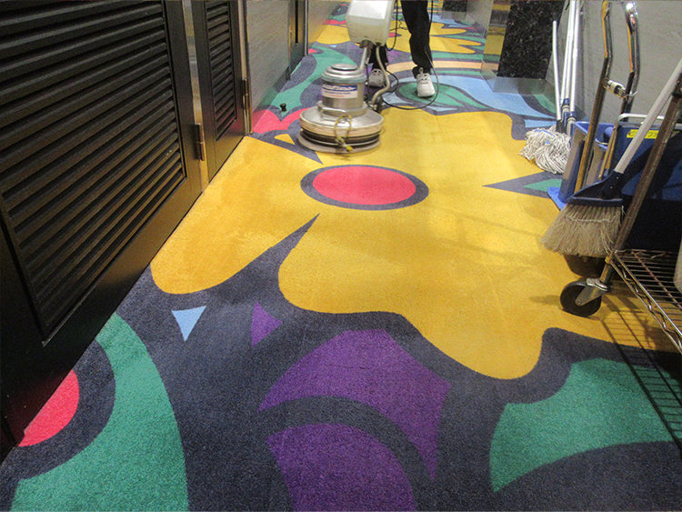 カーペット洗浄